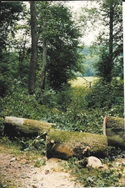 vue sur un autre secteur de la prairie maintenu en herbe par un autre agriculteur conscient de cette nécessité