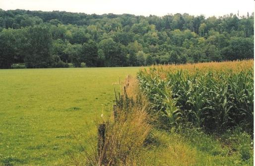contraste des deux exploitations
