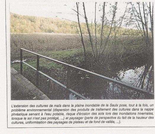 4-- propos de la culture de ma-s