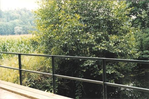 à droite, la culture intensive, choisie par un autre exploitant.