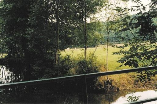 Le pont de la charrière permet d'accéder à la Prairie, île entourée d'eau; à gauche, la pâture traditionnelle, préservée par un exploitant respectueux.