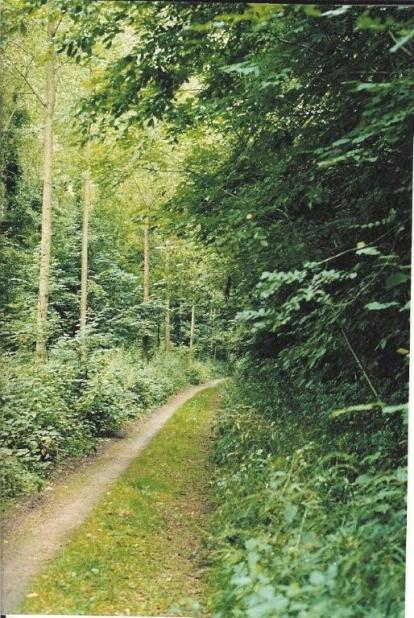 le chemin continue vers Haironville