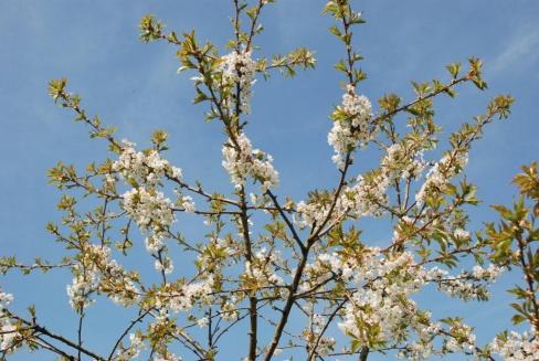 15-le m-me -photog-nique