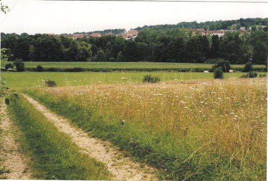 et bientôt sur la droite le cimetière mérovingien préservé de toute culture