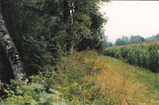 en se retournant, la rivière coule à gauche, on devine que ses abords abritent une faune variée