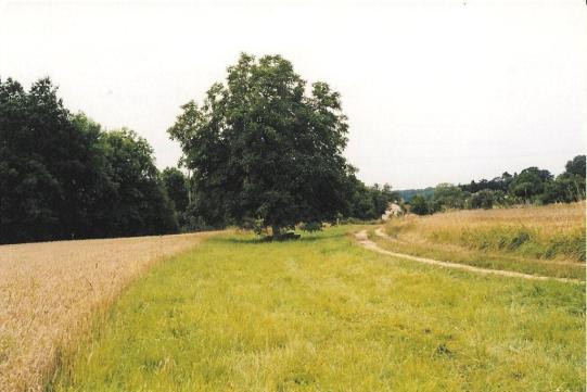 que dessine le Chemin de Lisle