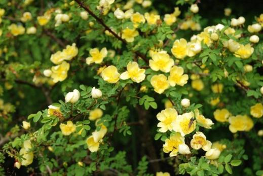 BDA490401643602370_000012