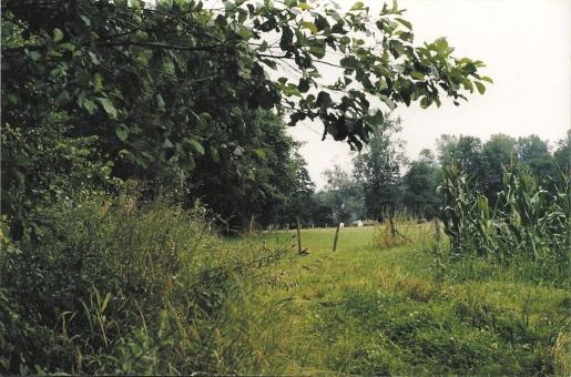 nous quittons la partie en prairie