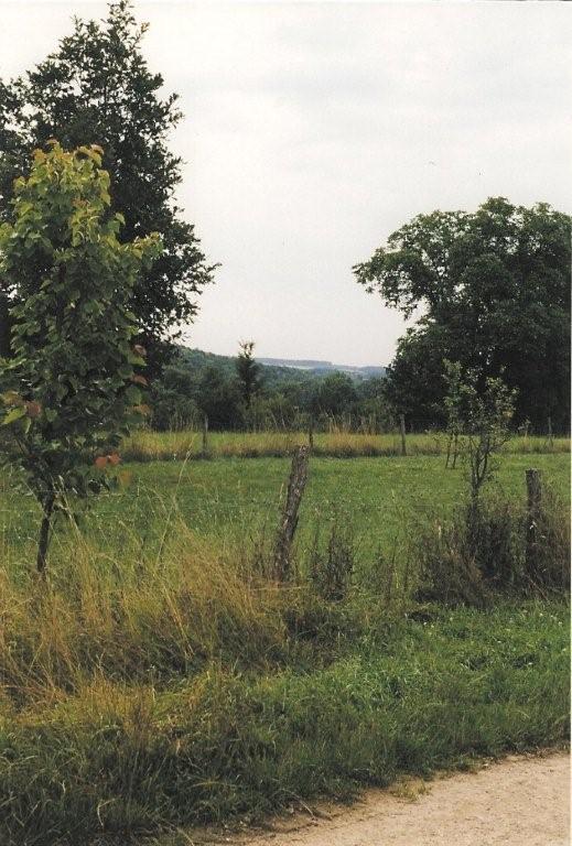 A travers les vergers